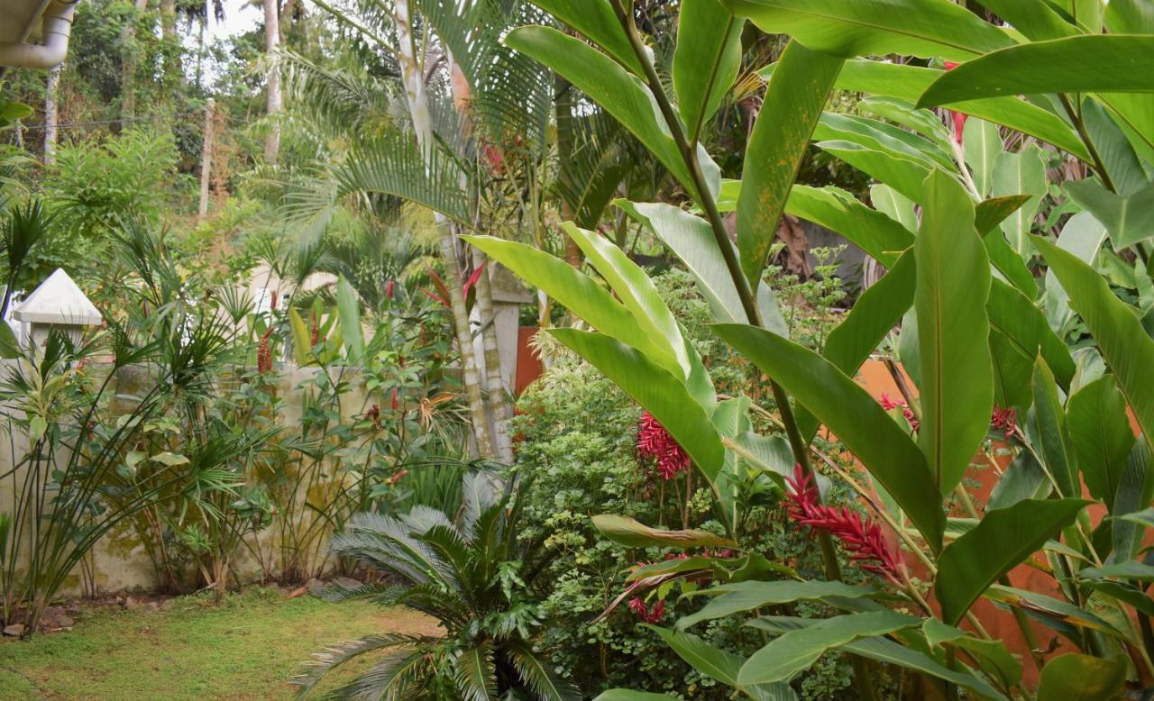 Sunbird Bungalow Anse Boileau Εξωτερικό φωτογραφία