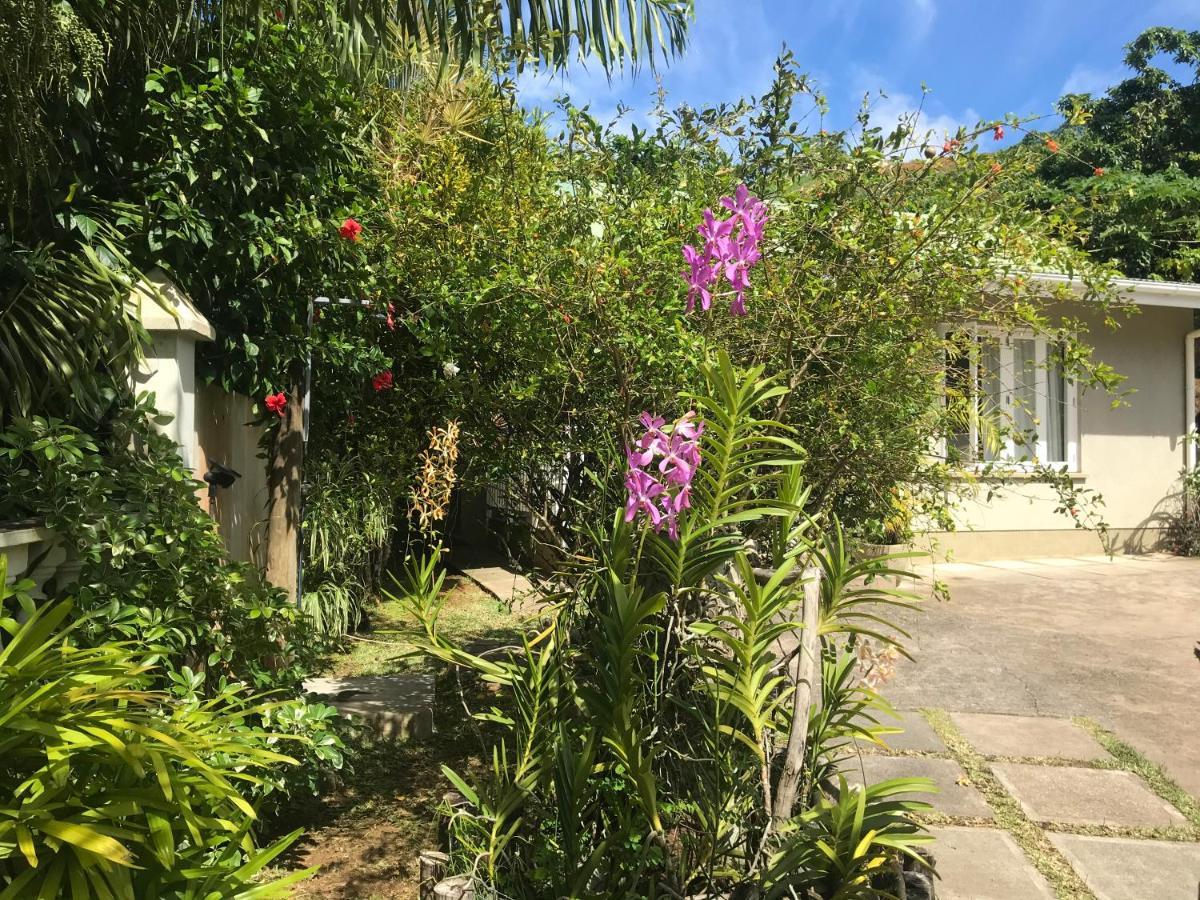 Sunbird Bungalow Anse Boileau Εξωτερικό φωτογραφία