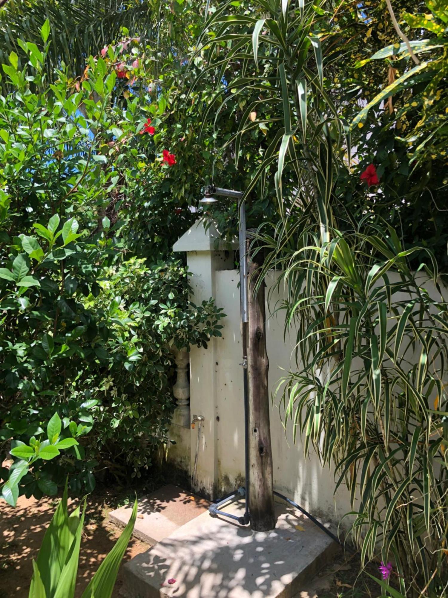 Sunbird Bungalow Anse Boileau Εξωτερικό φωτογραφία